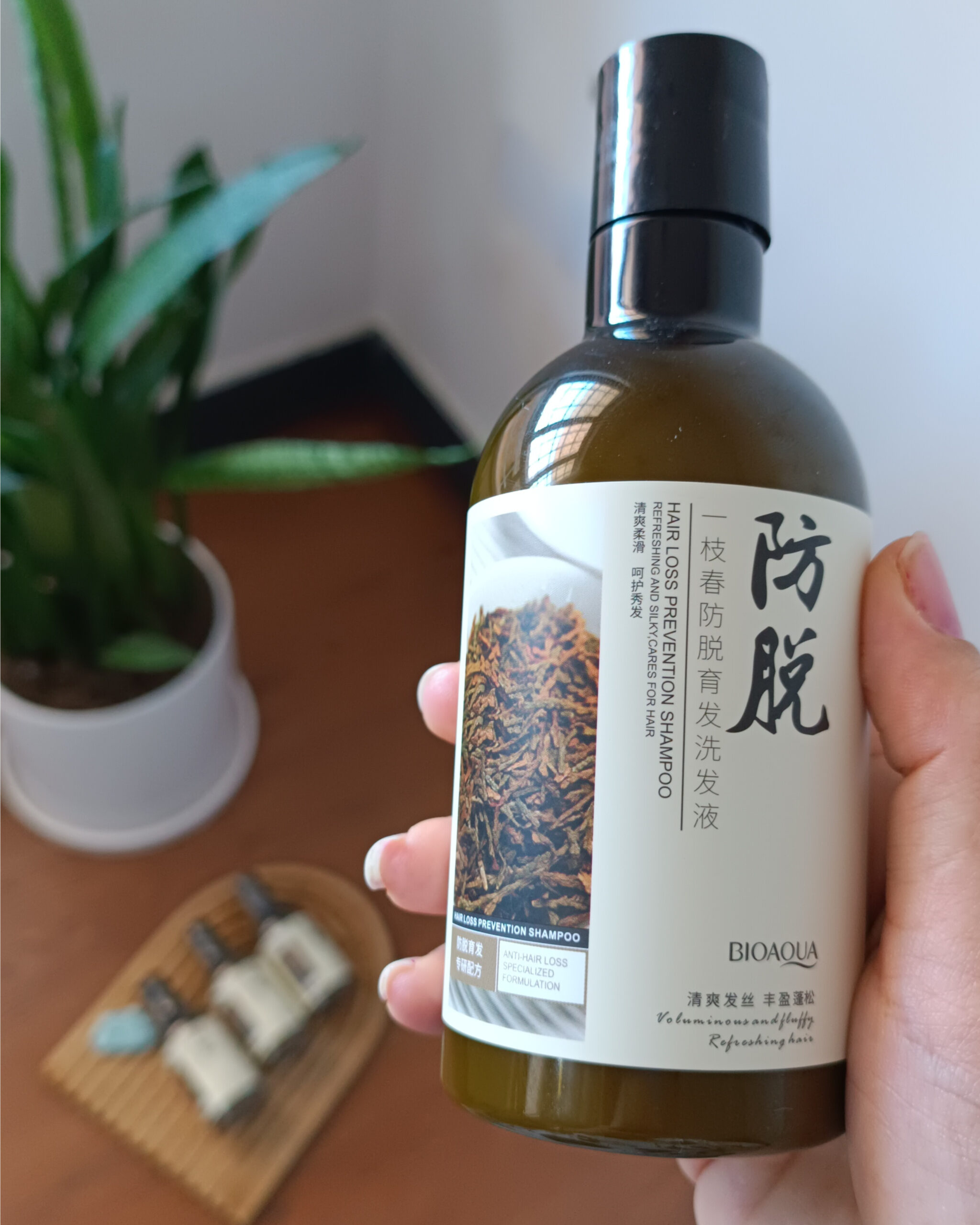 InShot_20251013_025922823